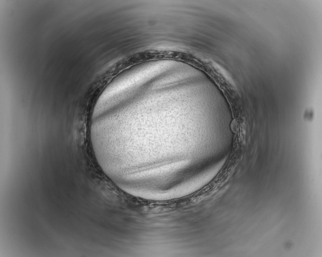 X0000102360821200808151811