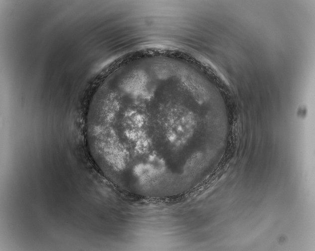 X0000102360822200808151811