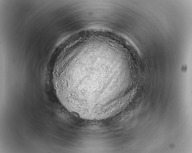 X0000102360823200808151811