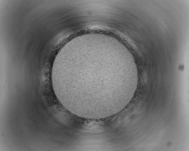 X0000102360824200808151811