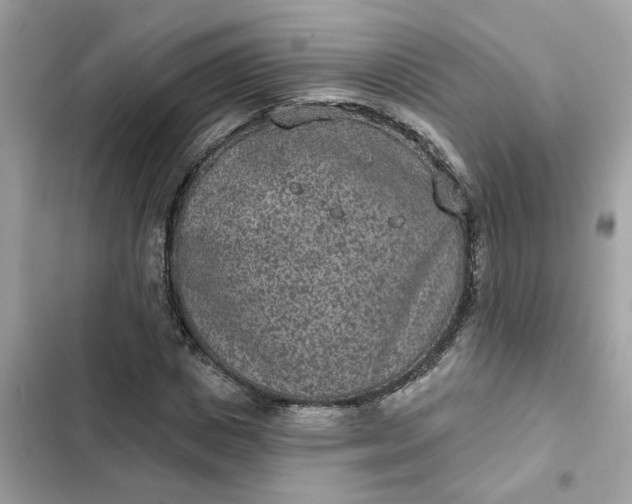 X0000102360825200808151811