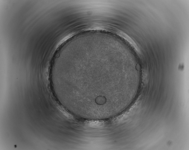 X0000102360826200808151811