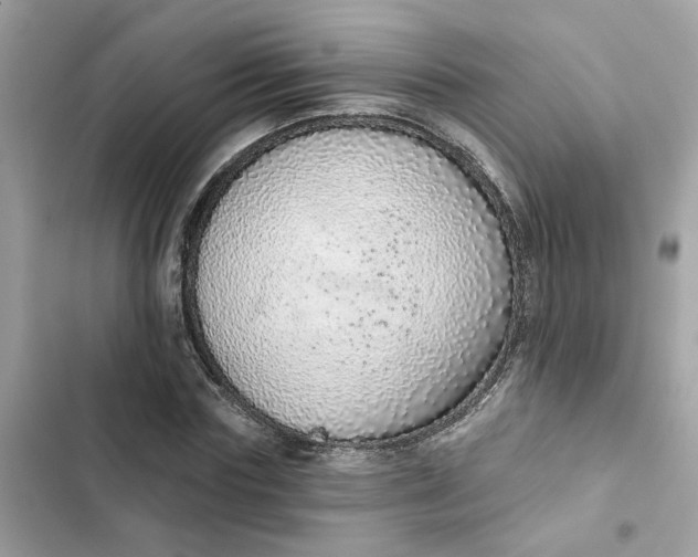 X0000102360827200808151811