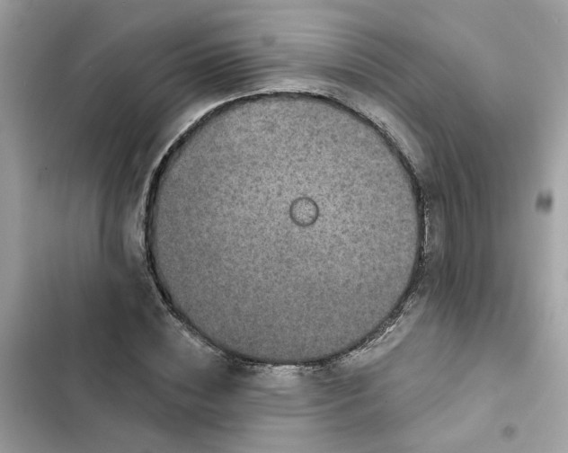 X0000102360828200808151811