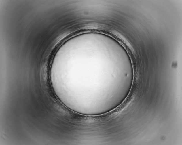 X0000102360829200808151811