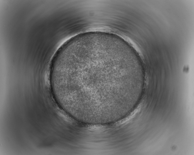 X0000102360830200808151811