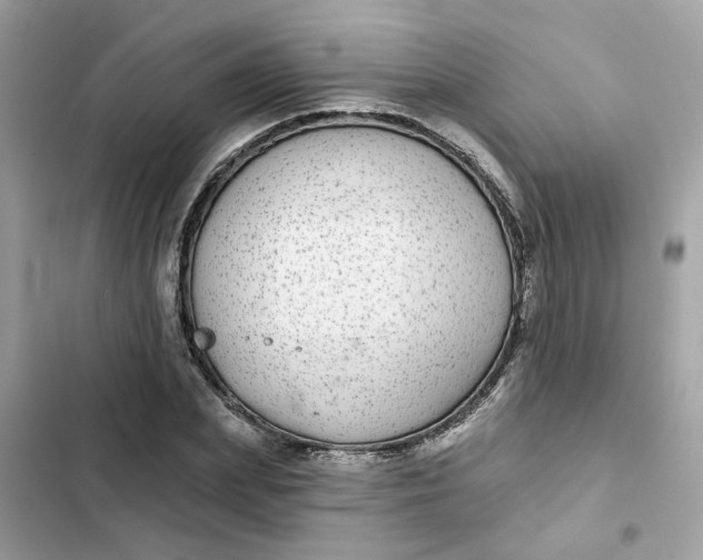 X0000102360831200808151811