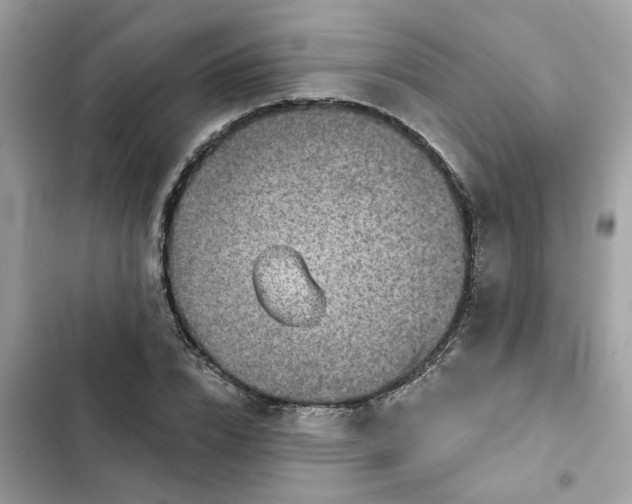 X0000102360832200808151811