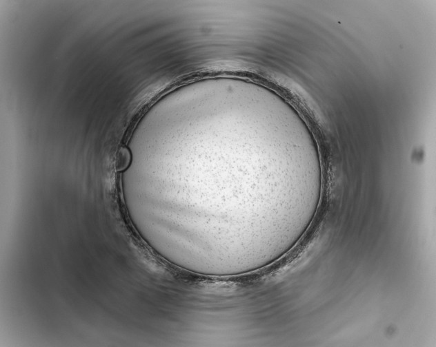 X0000102360833200808151811