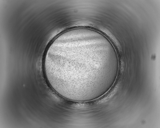 X0000102360834200808151811