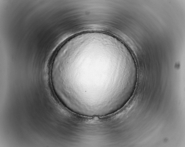 X0000102360835200808151811