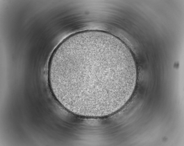 X0000102360836200808151811