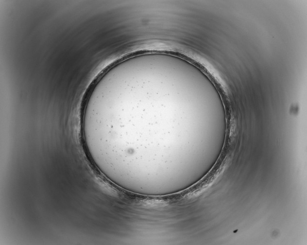 X0000102360837200808151811