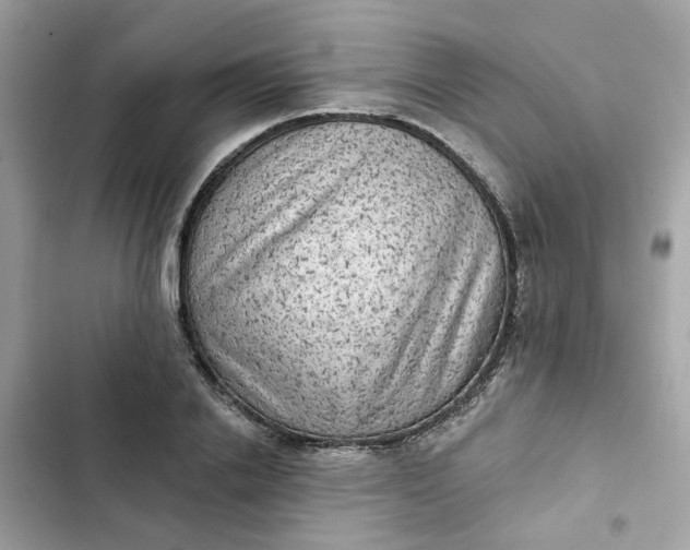 X0000102360838200808151811