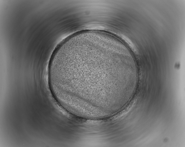 X0000102360840200808151811