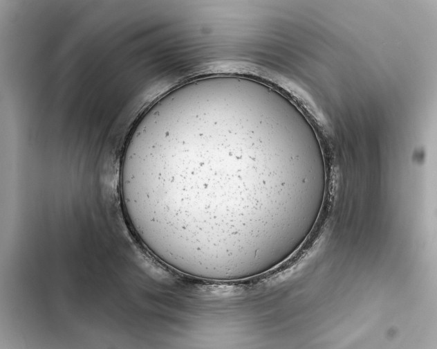 X0000102360841200808151811