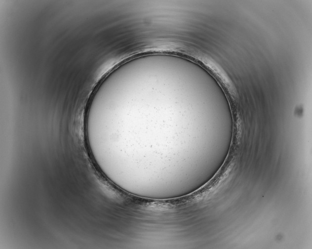 X0000102360842200808151811