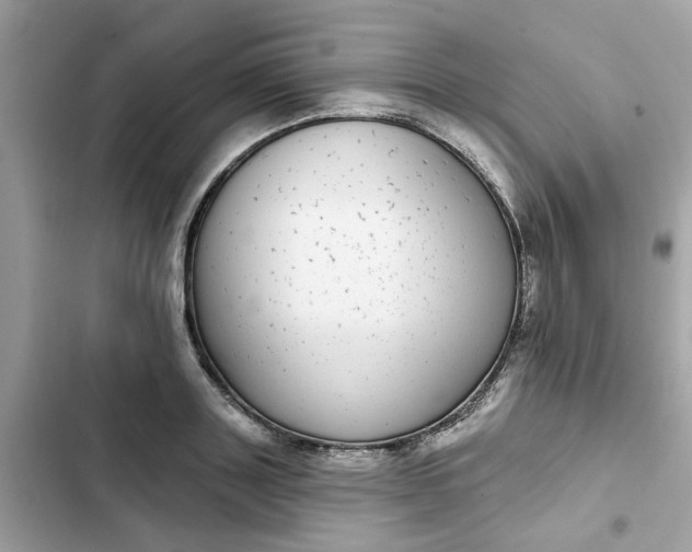 X0000102360843200808151811