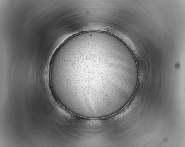 X0000102360844200808151811