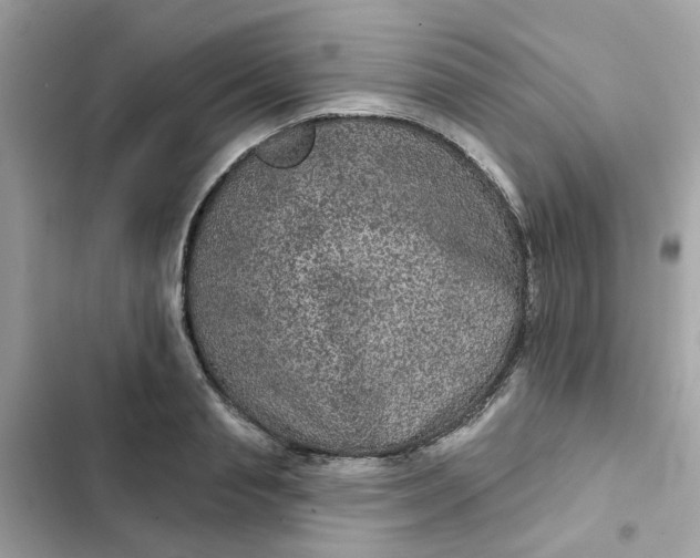 X0000102360845200808151811