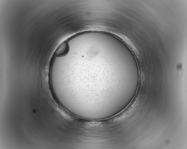 X0000102360846200808151811