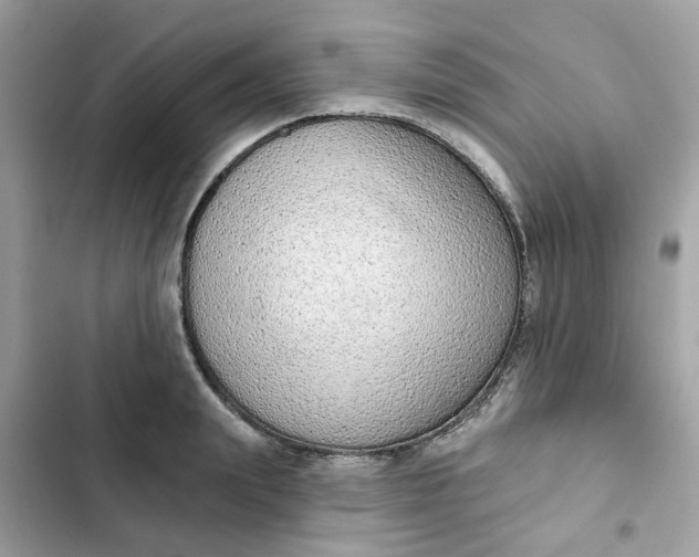 X0000102360847200808151811