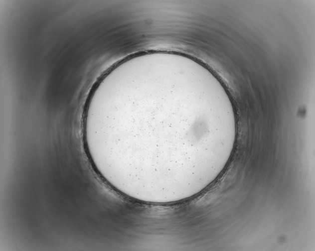 X0000102360848200808151811