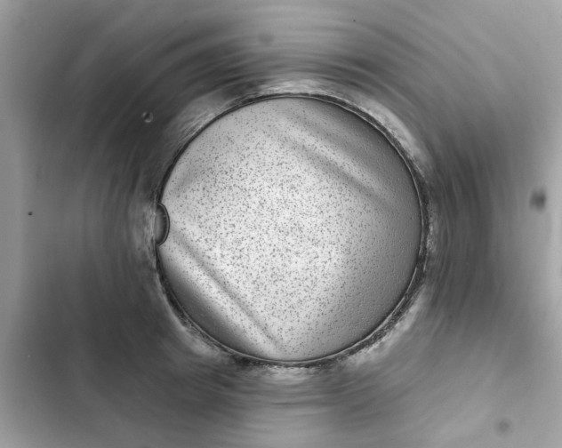 X0000102360849200808151811