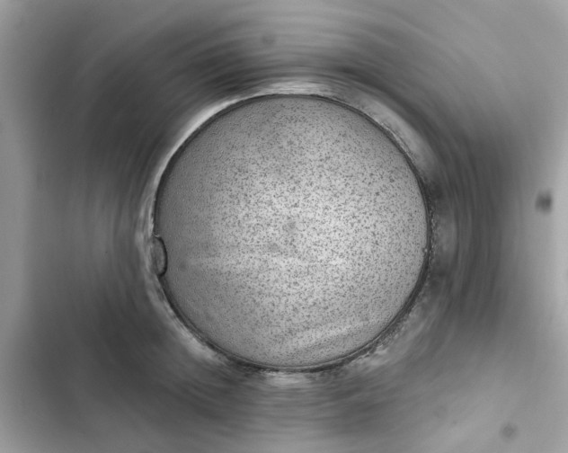 X0000102360852200808151811