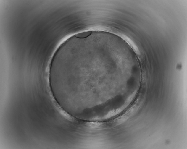 X0000102360854200808151811