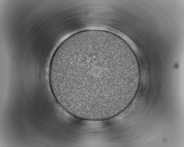 X0000102360856200808151811