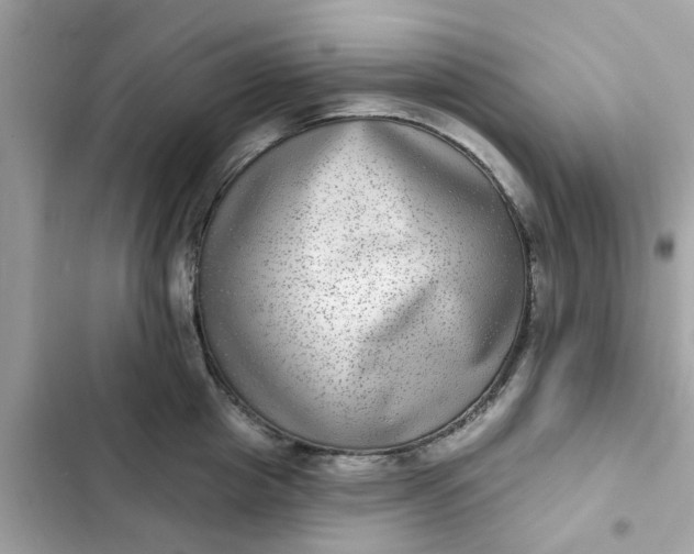 X0000102360857200808151811