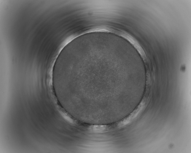 X0000102360858200808151811