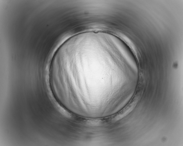 X0000102360859200808151811