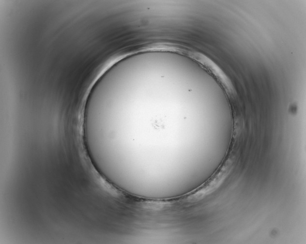 X0000102360860200808151811