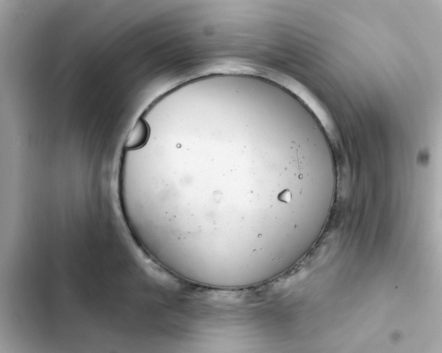 X0000102360861200808151811