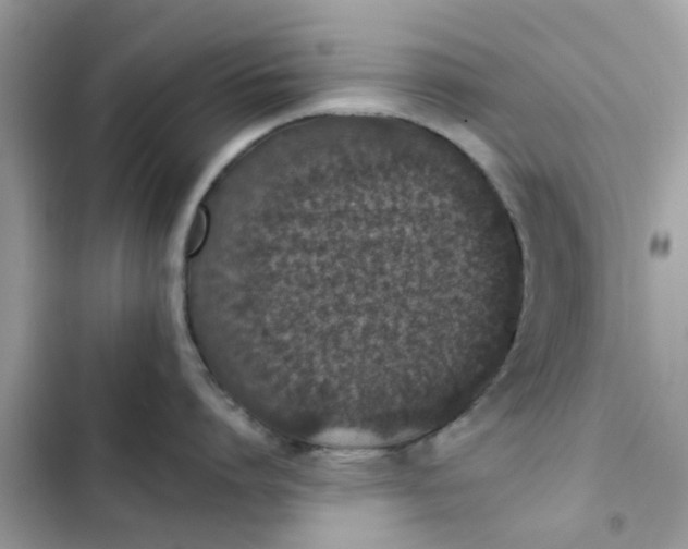 X0000102360864200808151811