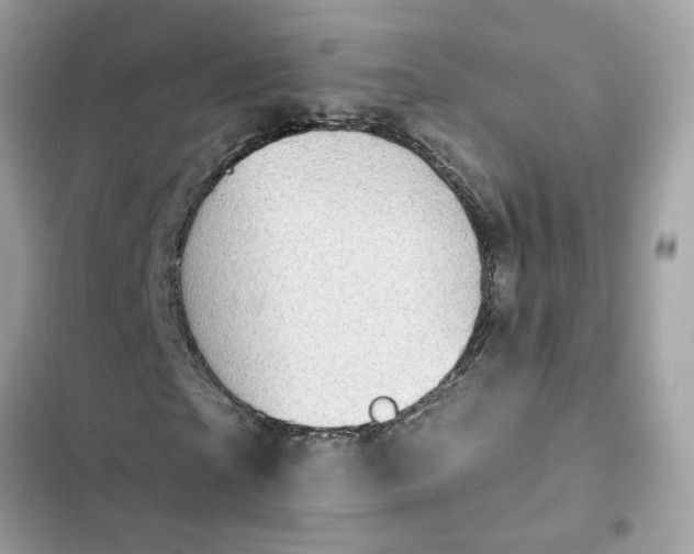 X0000102360865200808151811