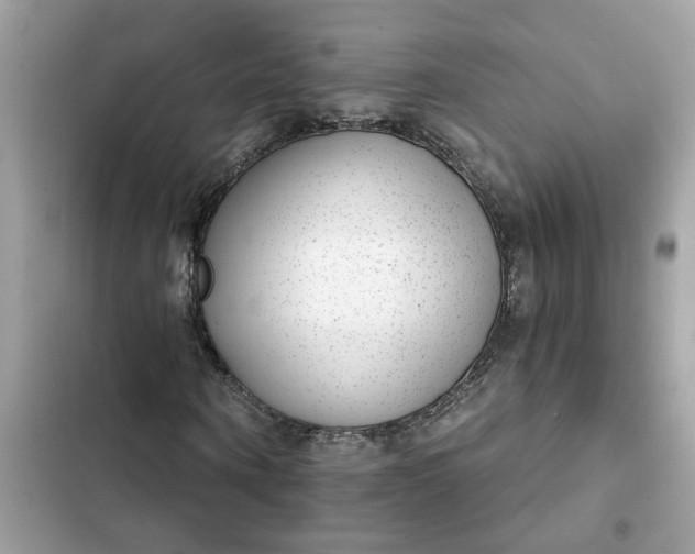 X0000102360866200808151811