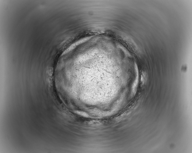 X0000102360867200808151811