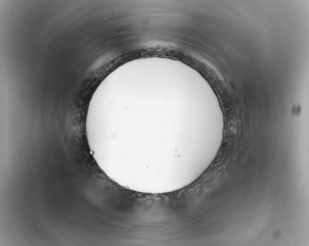 X0000102360869200808151811