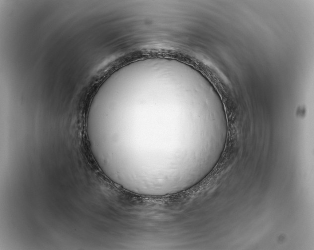 X0000102360870200808151811