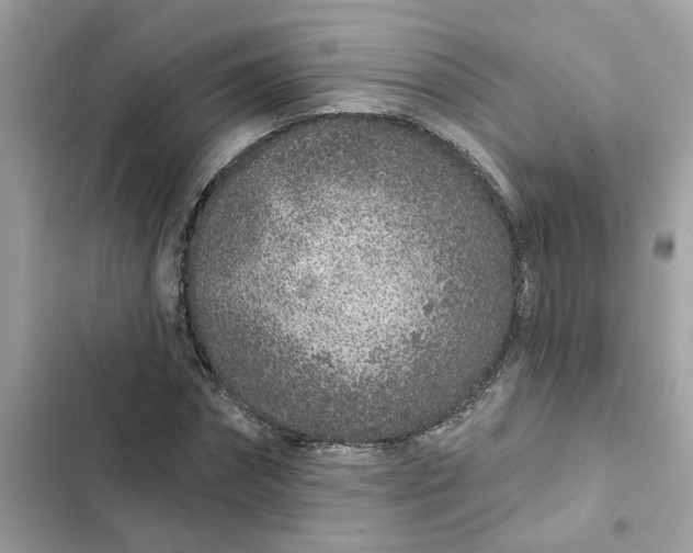 X0000102360874200808151810