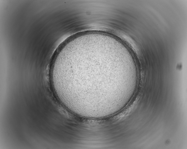 X0000102360875200808151810