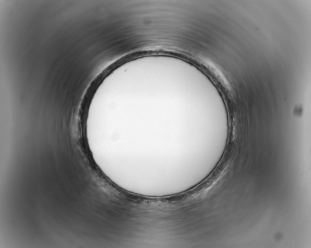 X0000102360876200808151810