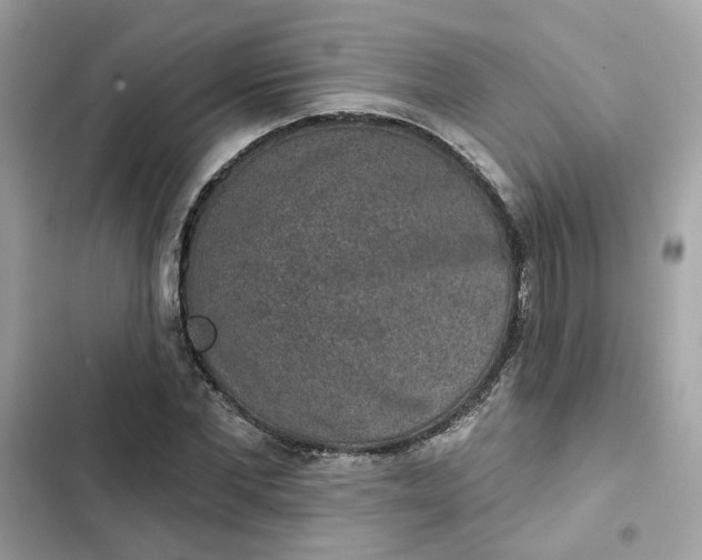 X0000102360877200808151810