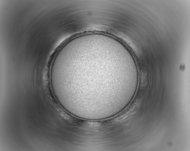 X0000102360878200808151810