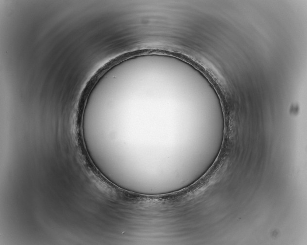 X0000102360880200808151810