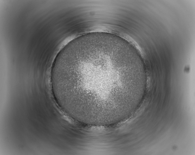 X0000102360882200808151810