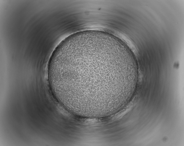 X0000102360883200808151810